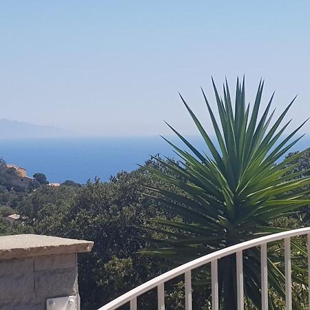 Bas De Villa Chez Mr.Girolami Dominique Bastia  Kültér fotó