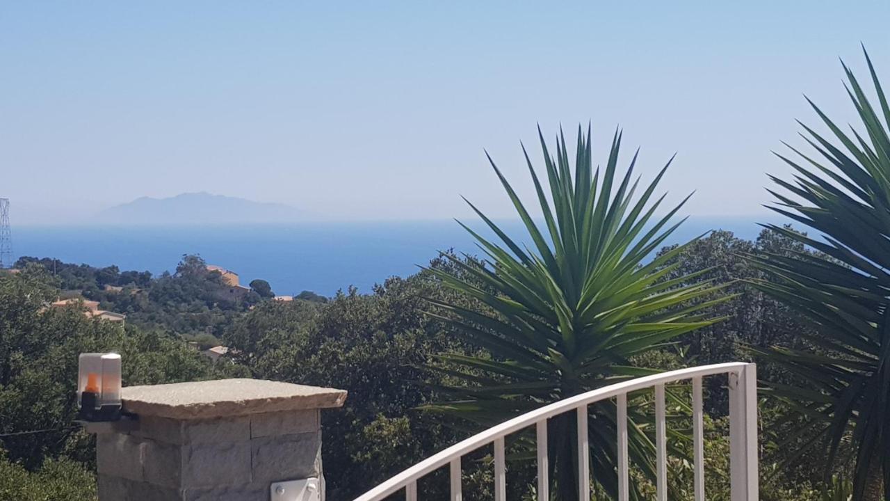 Bas De Villa Chez Mr.Girolami Dominique Bastia  Kültér fotó