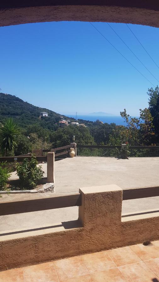 Bas De Villa Chez Mr.Girolami Dominique Bastia  Kültér fotó