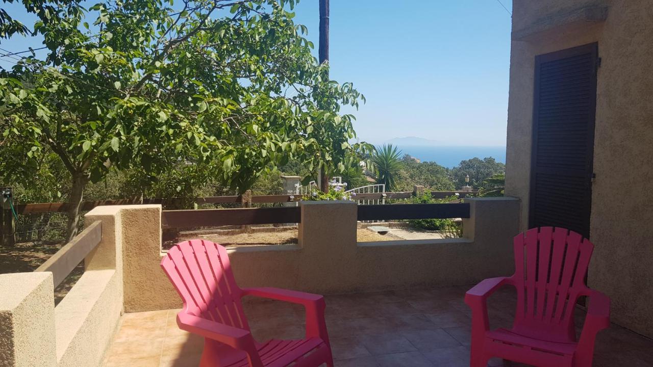 Bas De Villa Chez Mr.Girolami Dominique Bastia  Kültér fotó