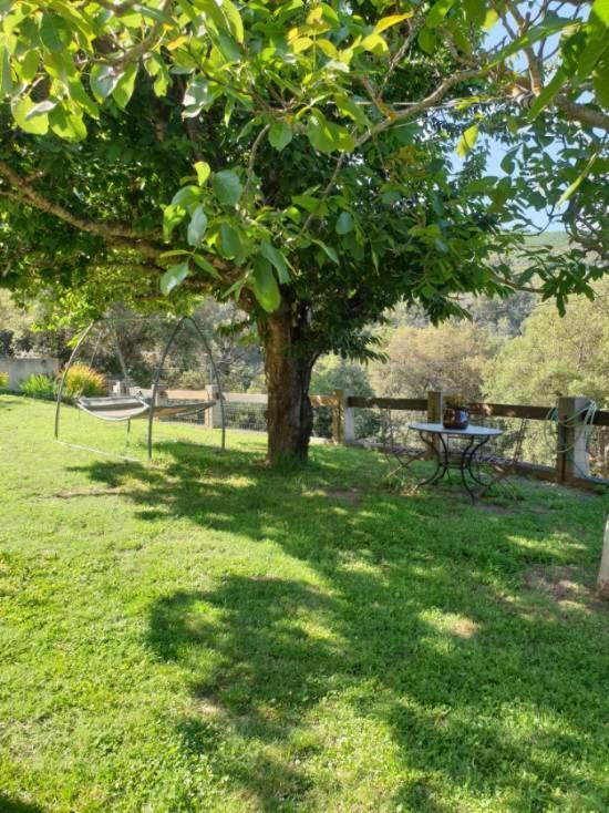 Bas De Villa Chez Mr.Girolami Dominique Bastia  Kültér fotó